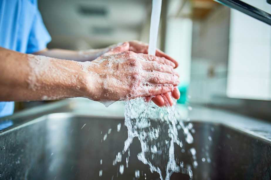 Le lavage des mains : le guide essentiel de l'hygiène au quotidien et en entreprise